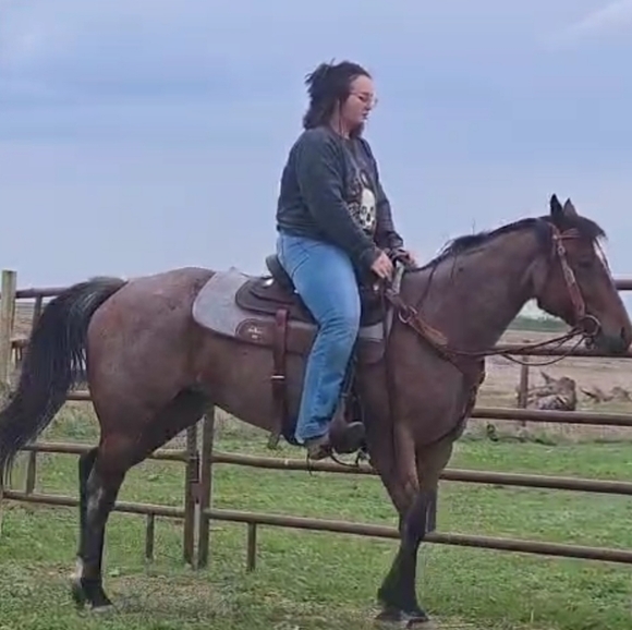 Meet your Posher, Bree - Picture 1 of 1